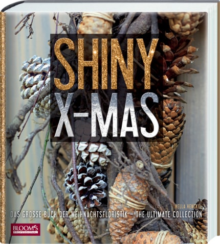 02Shiny-X-Mas-klein