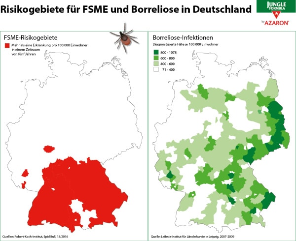 2308zehn-mythen-ueber-zecken-und-borreliose-wir-raeumen-mit-den-irrtuemern-auf