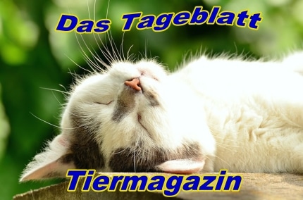 Das Tageblatt - Tiermagazin -