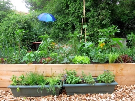Gartenerde -