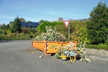 gruenschnittcontainer_160927