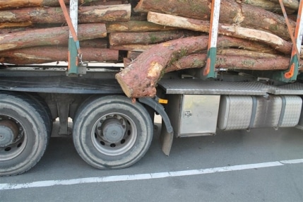 pol-pdkl-gefaehrlich-beladener-holztransporter