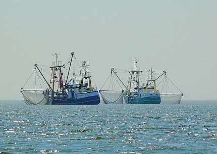 fischfangquoten-aktuell