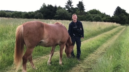 pol-fb-die-cowboys-von-der-autobahn-ein-tierisches-wochenende