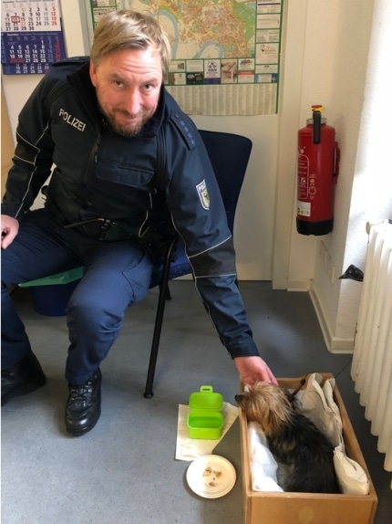 ein-herz-fuer-vierbeiner-bundespolizei-nimmt-eine-kleine-huendin-in-obhut