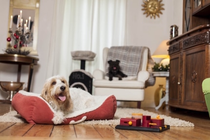 Frohe_Weihnachten (C) DAS FUTTERHAUS