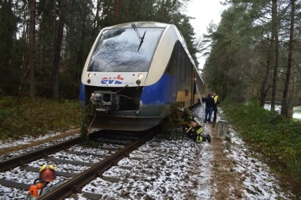 evb-triebwagen-kollidiert-mit-baum-eine-person-leicht-verletzt-75-fahrgaeste-evakuiert