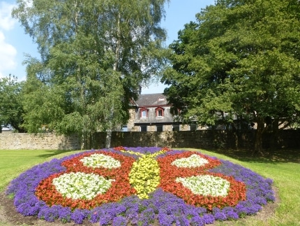 20180416_Bild_PM_Grüner_Daumen_gesucht.docx