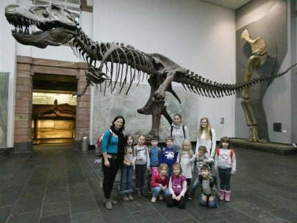 PM Weiler Dino
