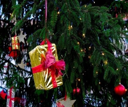 Weihnachtsratgeber