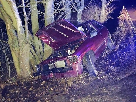 seibersbach-und-stromberg-gegen-einen-baum-fahrer