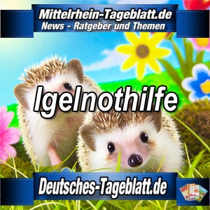 Mittelrhein-Tageblatt-Deutsches-Tageblatt-Igel-Igelhilfe-Igelnothilfe