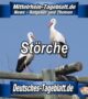 Mittelrhein-Tageblatt-Deutsches-Tageblatt-Störche-Storch-Tier-Tiere-Tierschutz-NABU-Umwelt-Umweltschutz- Natur-Naturschutz