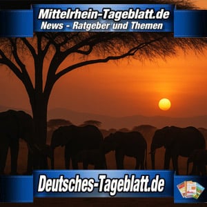 Mittelrhein-Tageblatt-Deutsches-Tageblatt-Der-Trauerzug-von-Tsavo-Tsavo-Ost-Nationalpark-Wenn-Elefanten-niemals-vergessen