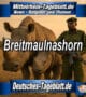 Mittelrhein-Tageblatt-Deutsches-Tageblatt-Nördliches-Breitmaulnashorn-Artenschutz-Tierschutz-Nashorn-Wildtierschutz-Kenia