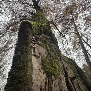 Gespräche am Ende des Weges