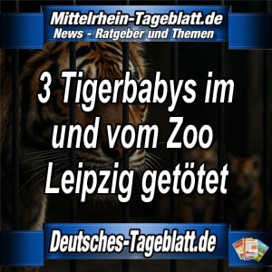 Mittelrhein-Tageblatt-Deutsches-Tageblatt-Zoo-Leipzig-Drei-Tigerbabys-im-Zoo-Leipzig-getötet-Tier-Tierschutz-Strafanzeige-PETA