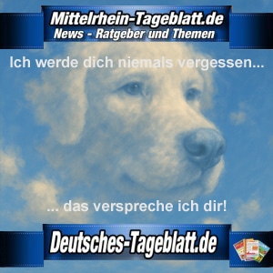 Mittelrhein-Tageblatt-Deutsches-Tageblatt-Ich-werde-dich-niemals-vergessen-virtueller-Tierfriedhof