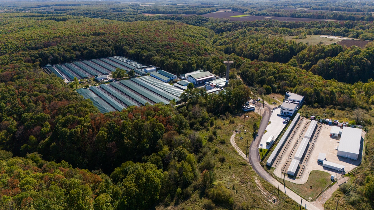 Tierhilfe Hoffnung e.V. - Die Smeura und das Kastrations- und Registrierungszentrum und städtische Tierheim