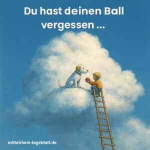 Mittelrhein-Tageblatt-Deutsches-Tageblatt-Du-hast-deinen-Ball-vergessen