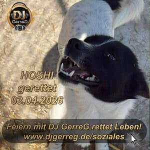 HOSHI aus Tötungsstation gerettet - Ein Osterwunder