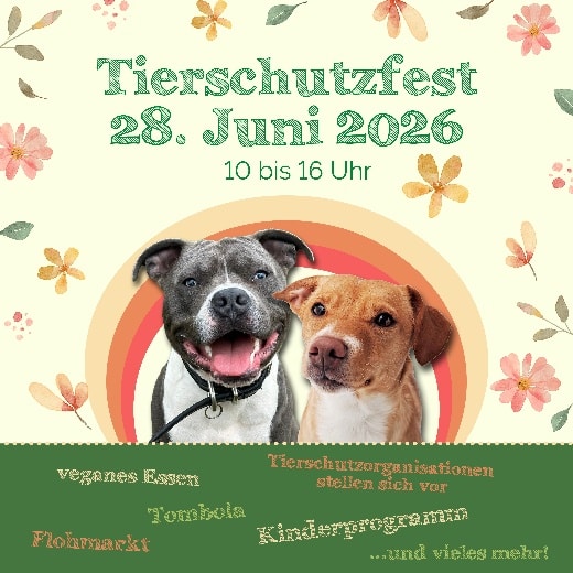 Tierschutzfest 2026 Tierheim Süderstraße (c) Hamburger Tierschutzverein von 1841 e. V. (HTV)