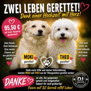 Feiern mit Herz - DJ GerreG rettet zwei Hunde aus Tötungsstation - dank Hochzeitsgästen