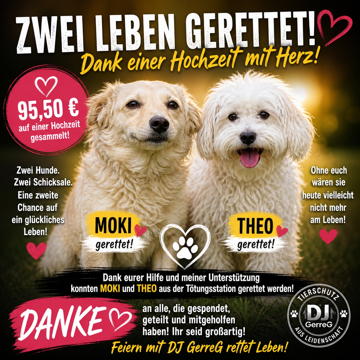 Feiern mit Herz - DJ GerreG rettet zwei Hunde aus Tötungsstation - dank Hochzeitsgästen