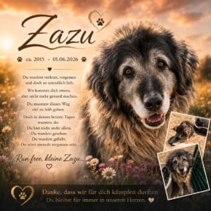 Zazu & Tierschutz zwischen Hoffnung und Herzschmerz