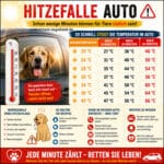 Mittelrhein-Tageblatt-Deutsches-Tageblatt-Hund-im-Auto-Hitze-Tiere-bei-Hitze-niemals-im-PKW-lassen