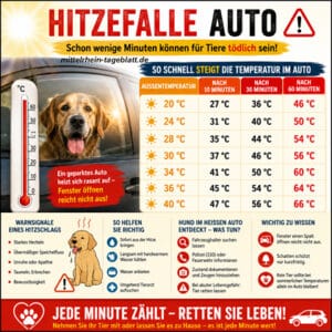Mittelrhein-Tageblatt-Deutsches-Tageblatt-Hund-im-Auto-Hitze-Tiere-bei-Hitze-niemals-im-PKW-lassen