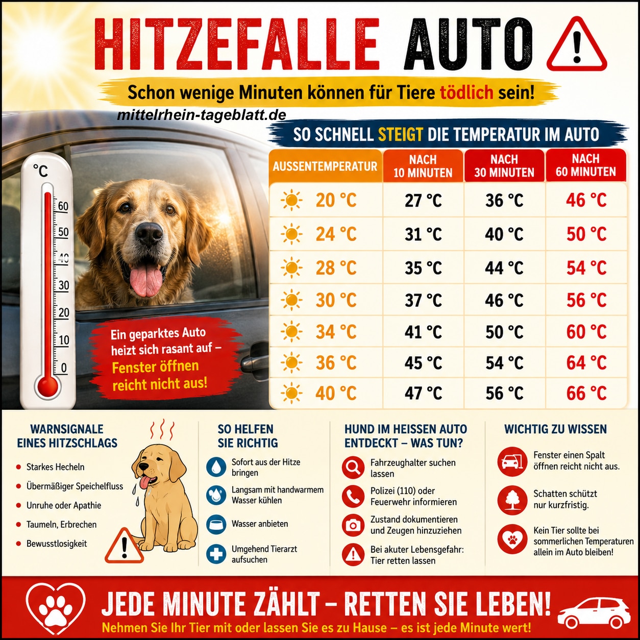 Mittelrhein-Tageblatt-Deutsches-Tageblatt-Hund-im-Auto-Hitze-Tiere-bei-Hitze-niemals-im-PKW-lassen