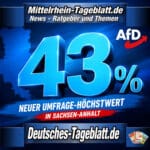 Mittelrhein-Tageblatt-Deutsches-Tageblatt-News-Nachrichten-Aktuell-AfD-Umfrage-Landtagswahl-Sachsen-Anhalt