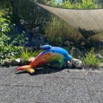 Delfin auf der L98